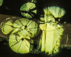 Peridot Lily Pads Inclusions